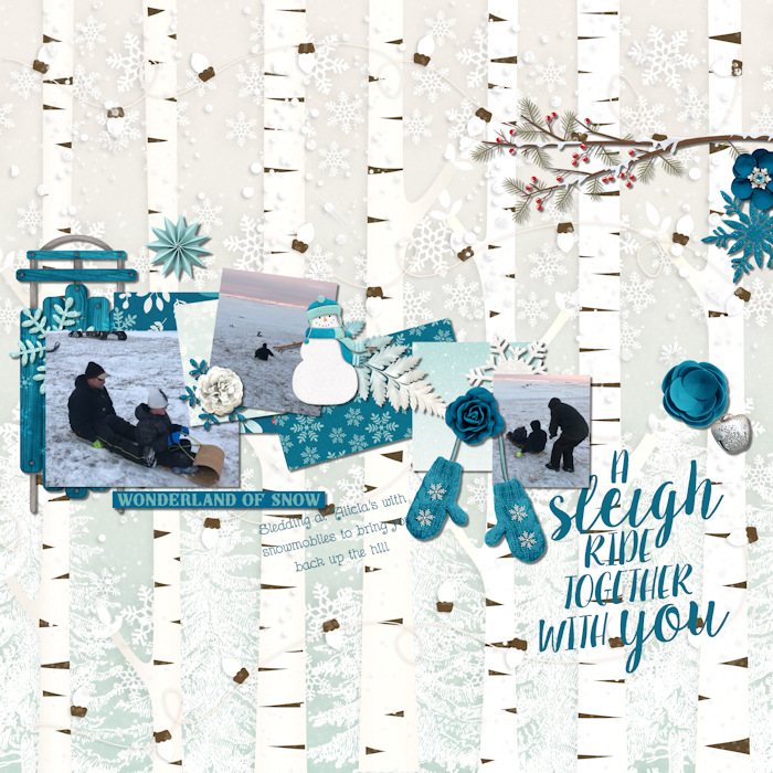 Sleigh Ride