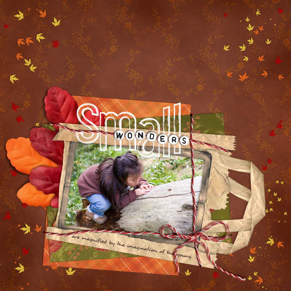 Small Wonders