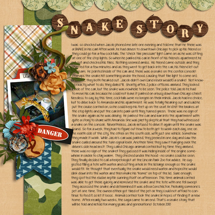 Snake Story