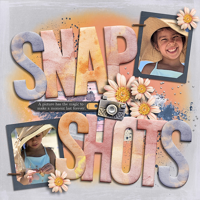 Snap Shots