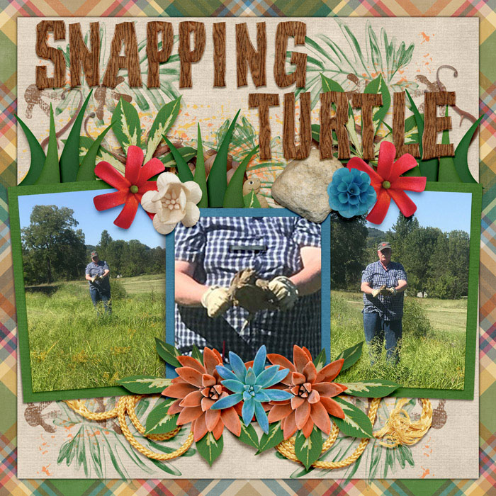 SnappingTurtle_2019