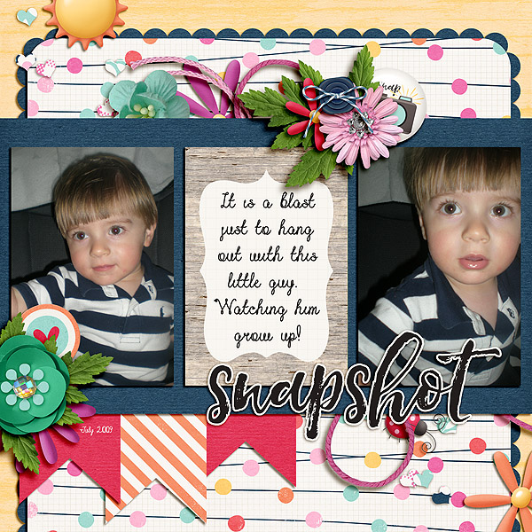Snapshot