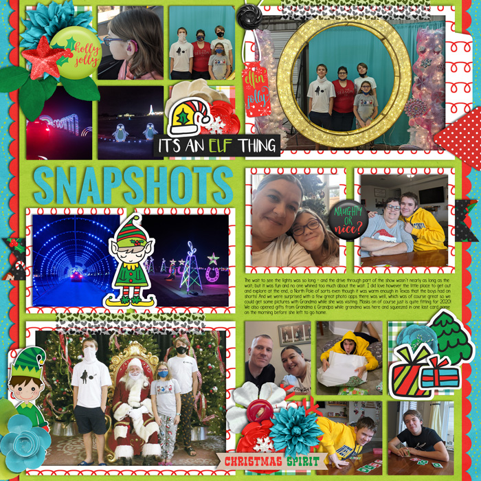 Snapshots of Christmas Visit