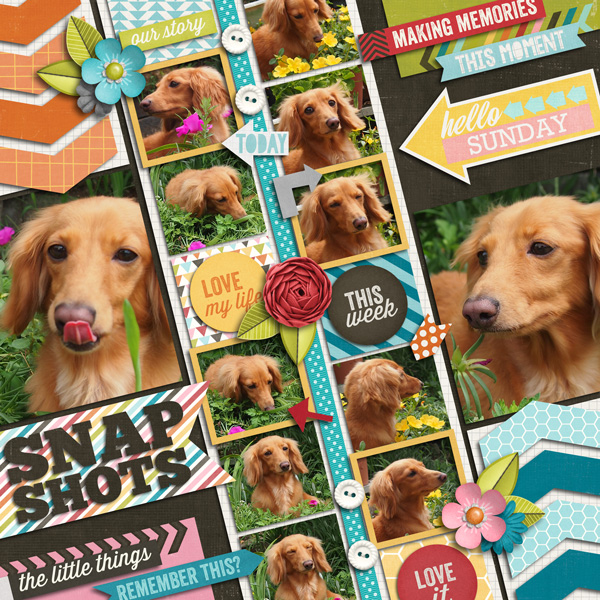 Snapshots