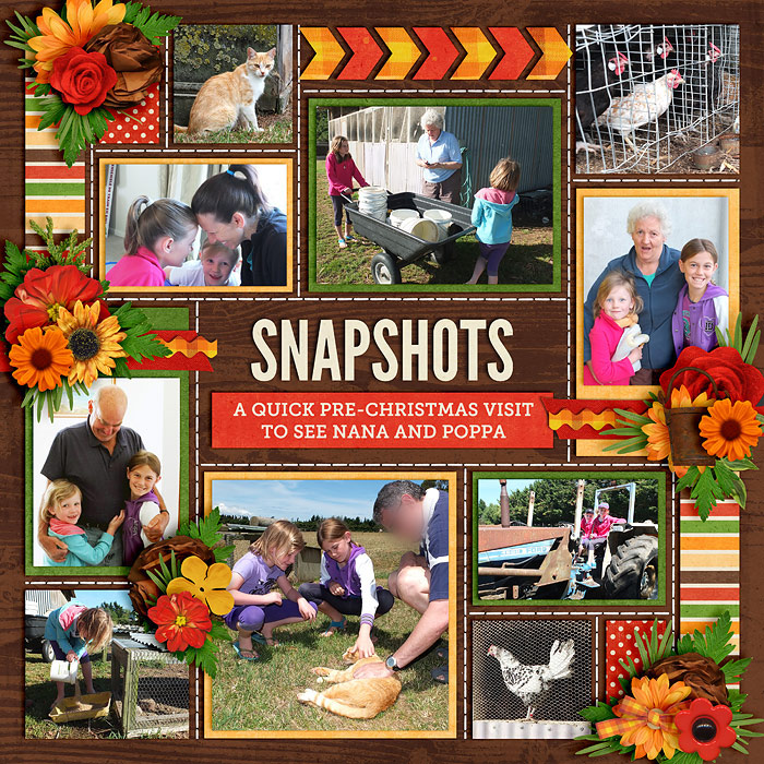 Snapshots