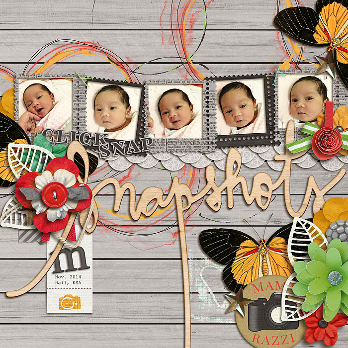 snapshots