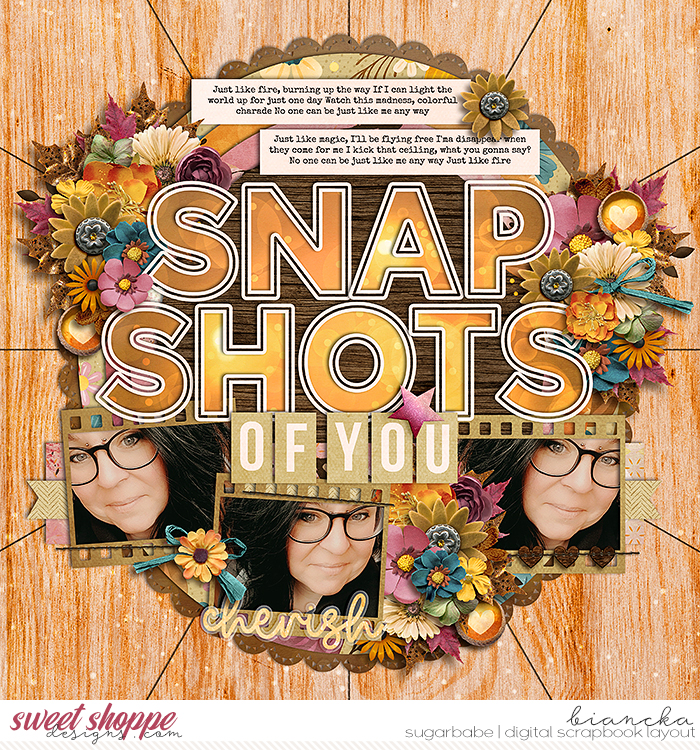 snapshots
