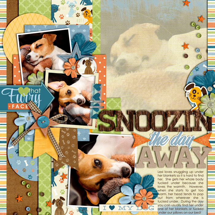 Snoozin the Day Away