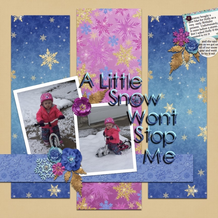 snow bike