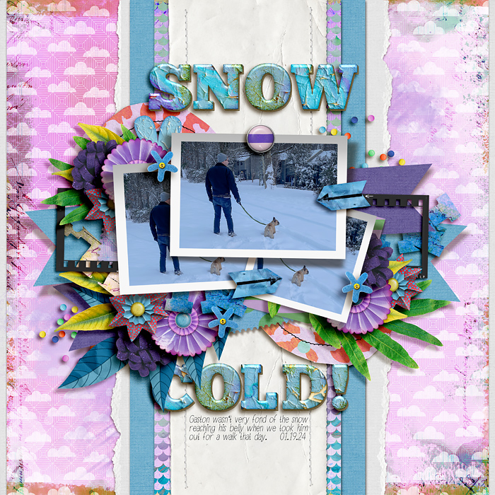 Snow Cold!