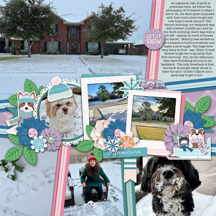 Snow day 2025