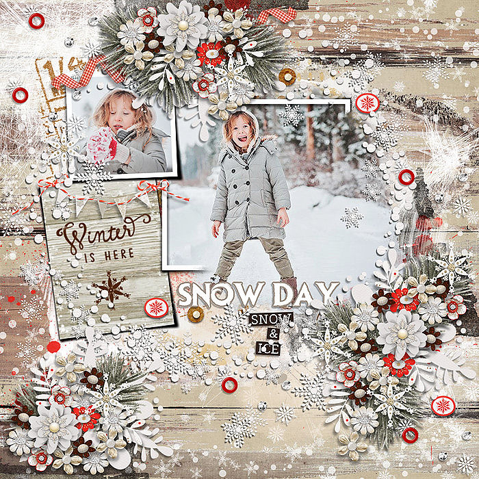 Snow Day