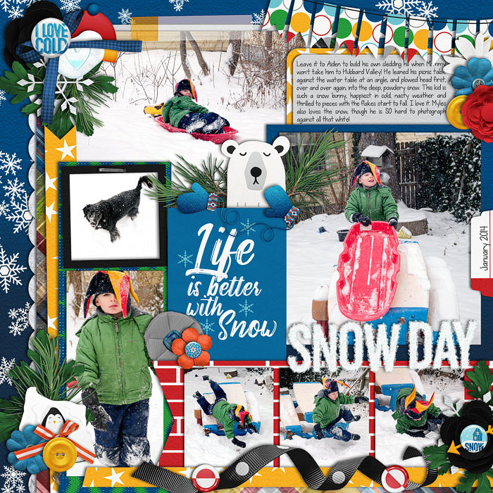 Snow Day