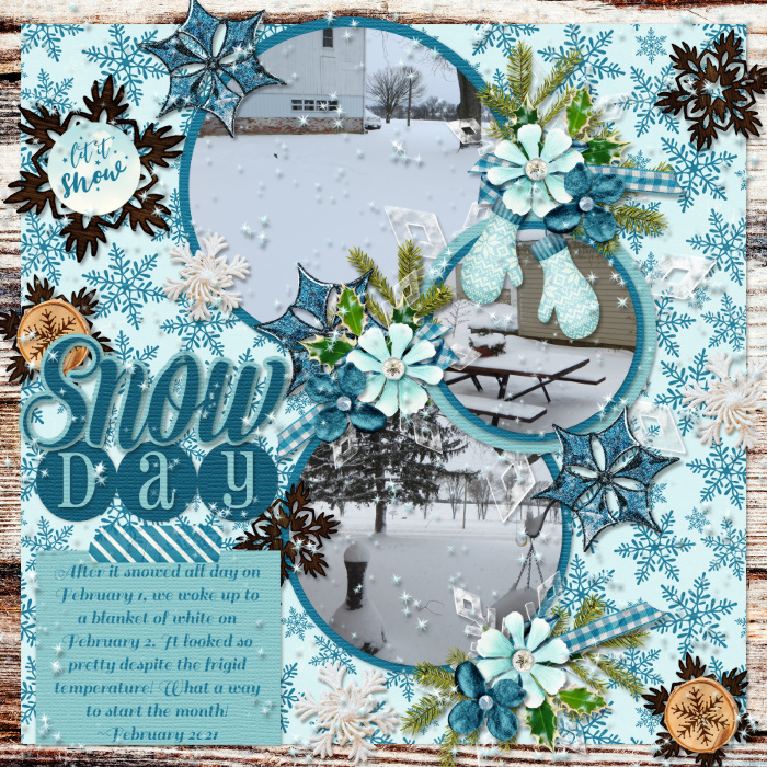 Snow Day