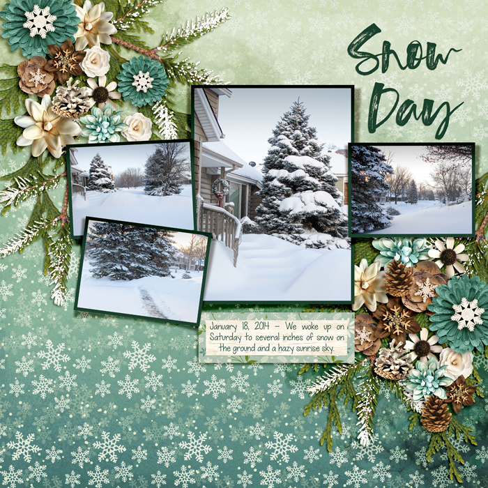 Snow Day