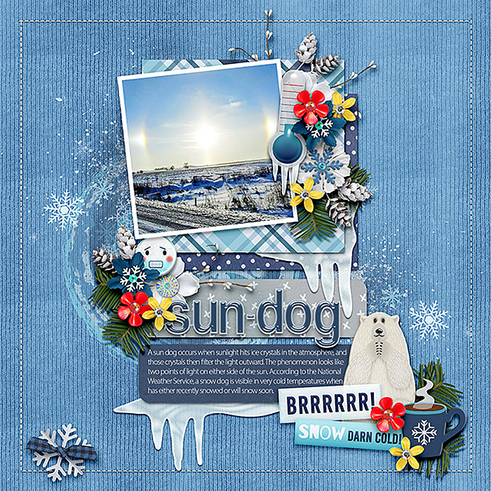 Snow Dog