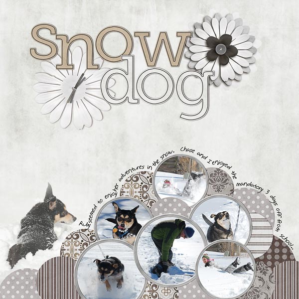 Snow doggie!