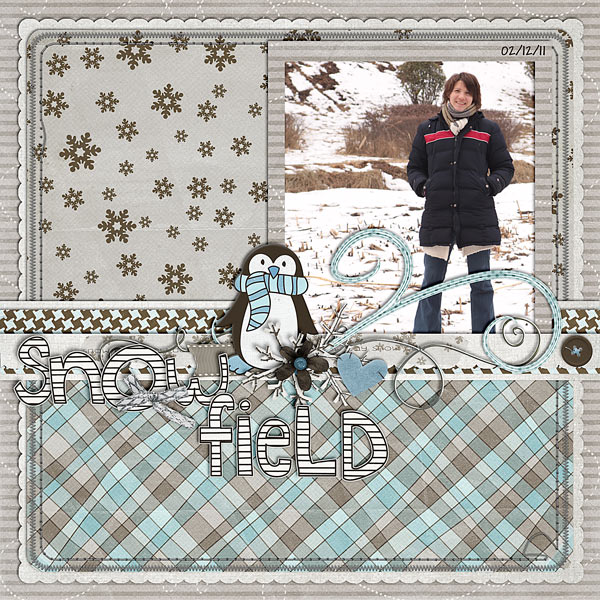 Snow Field