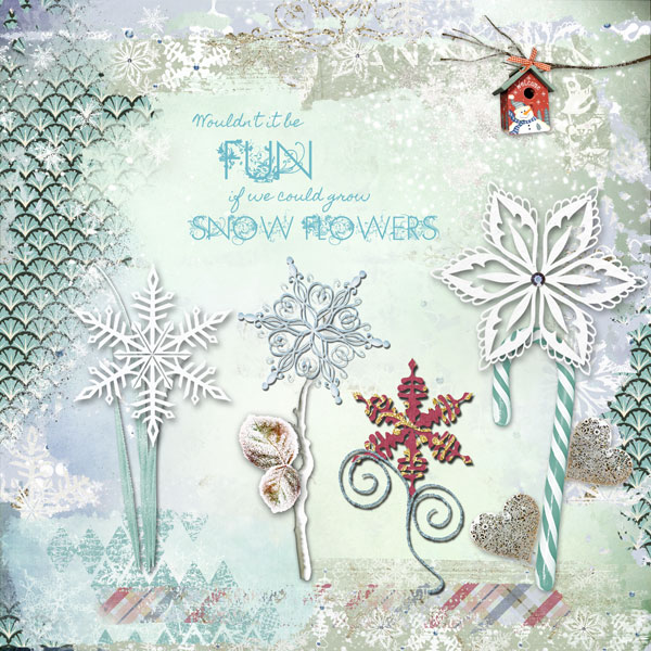 Snow Flowers