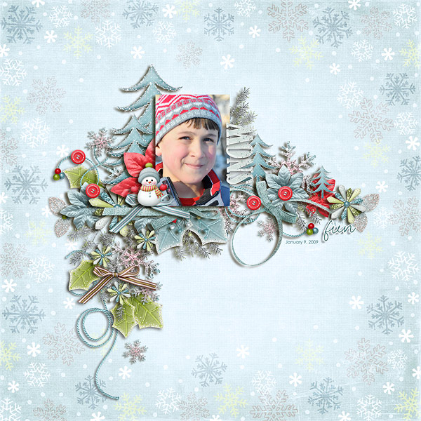 Snow Fun