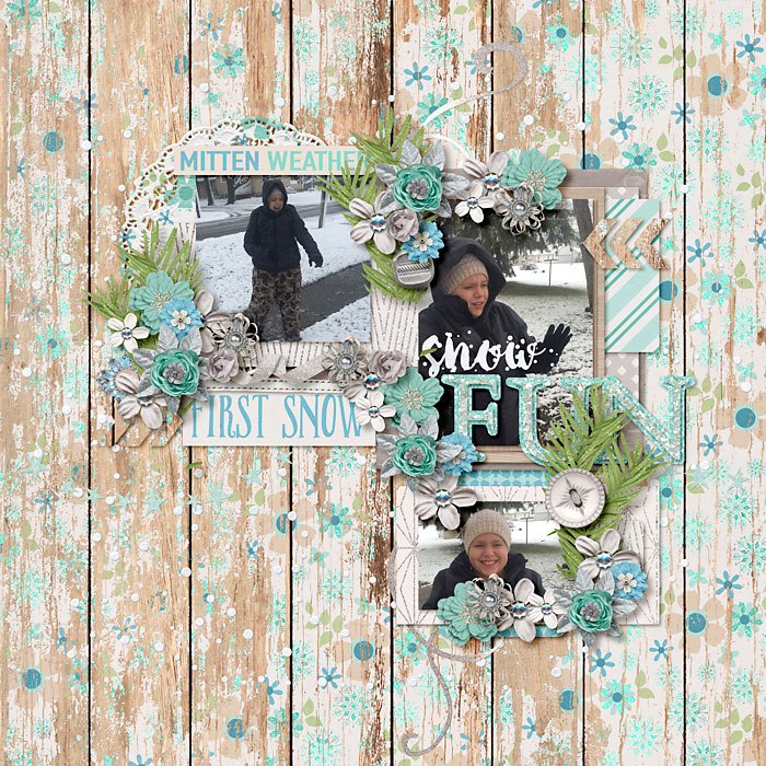 snow fun