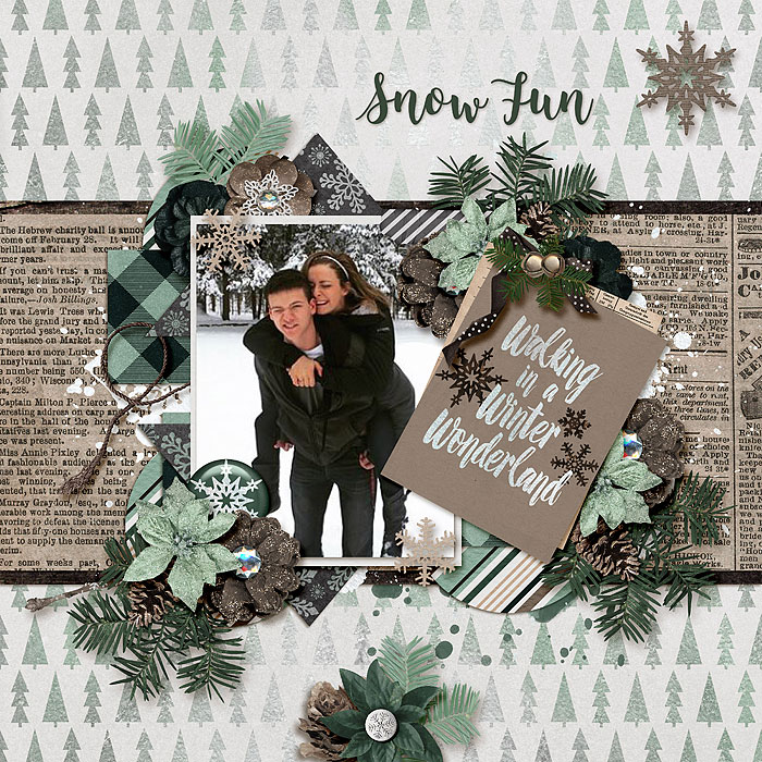 Snow Fun