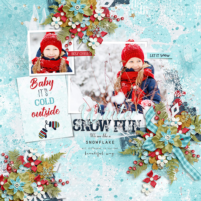 Snow Fun