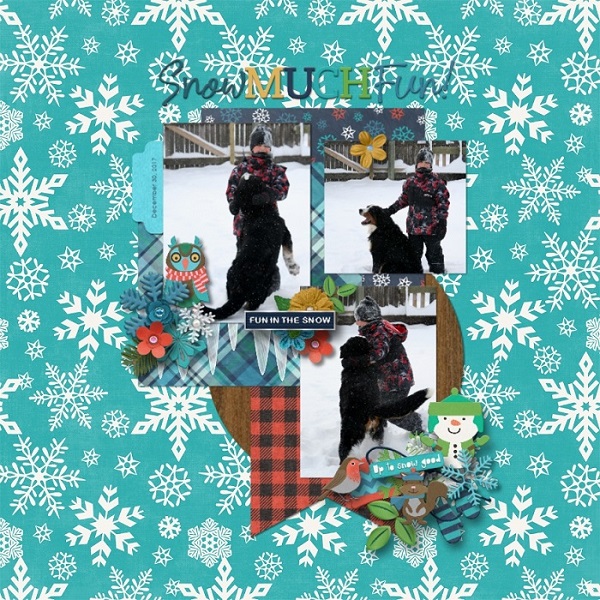 Snow Fun