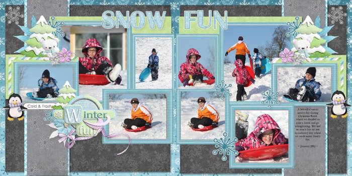 Snow Much Fun