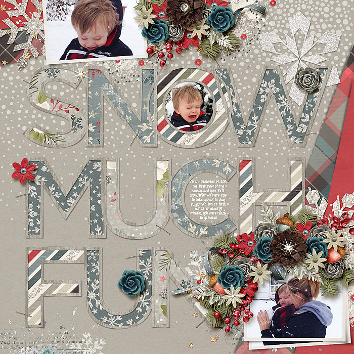 Snow Much Fun