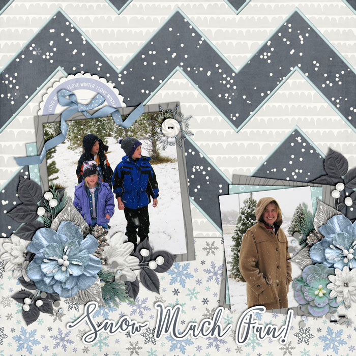 Snow Much Fun