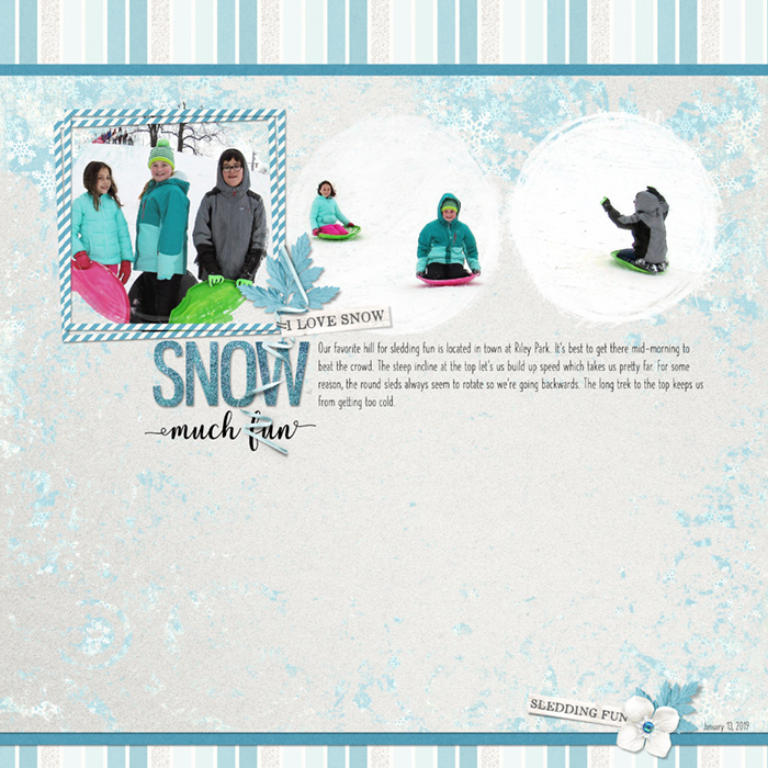 Snow Much Fun