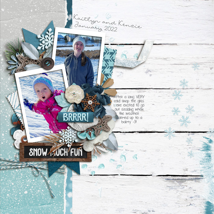 Snow Much Fun