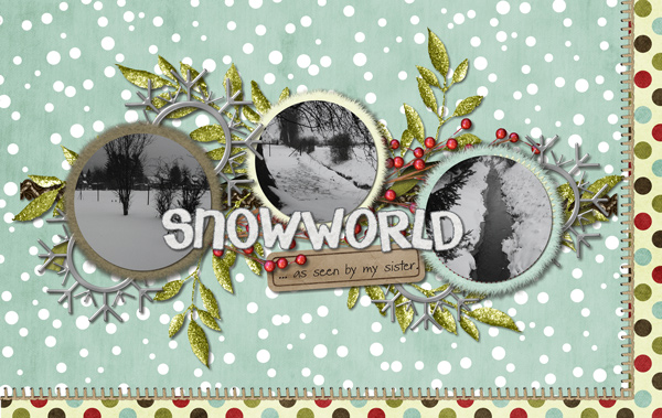 Snow World Seen by ...
