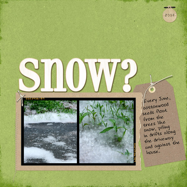 Snow?