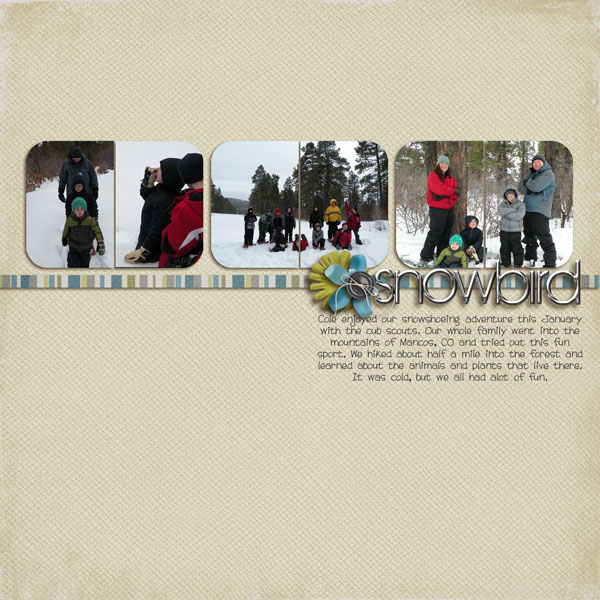 snowbird