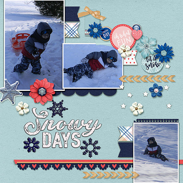 Snowy Day