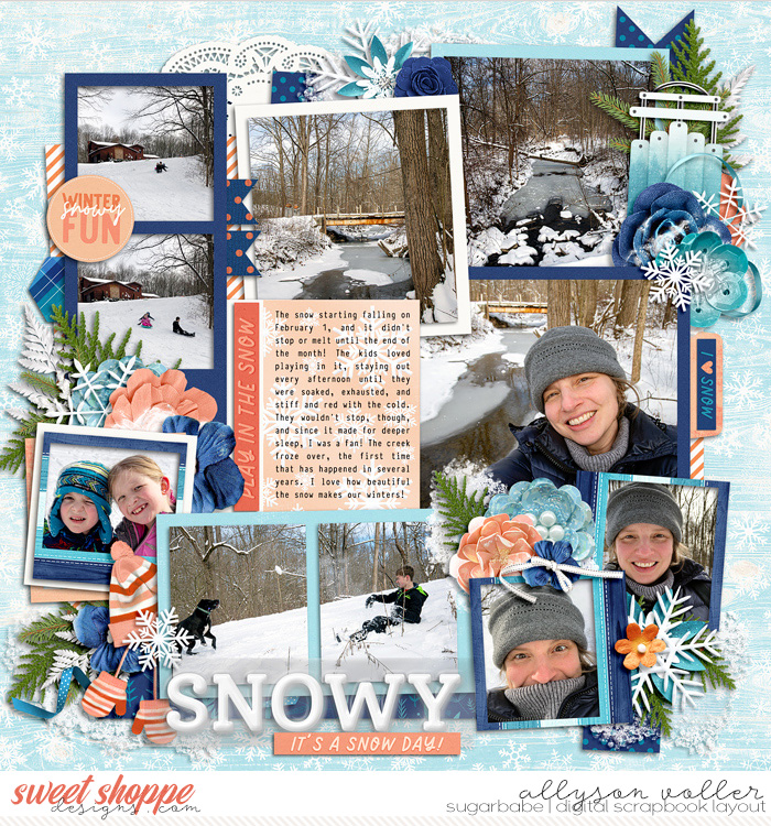 Snowy Day