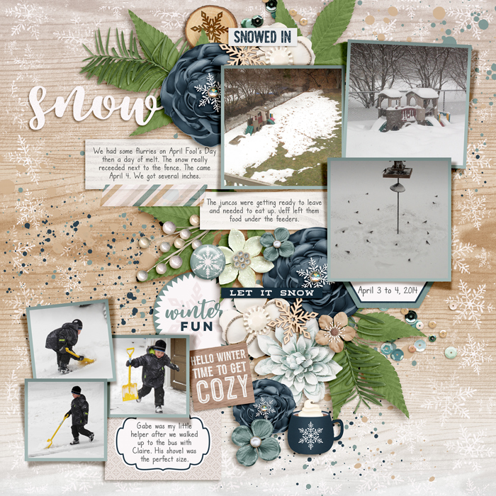 Snowy Spring