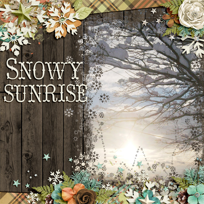 Snowy Sunrise