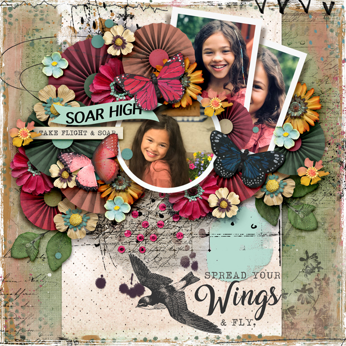 Soar High