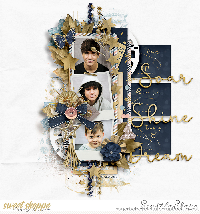 Soar Shine Dream