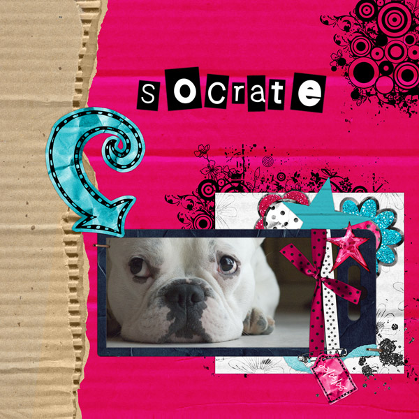 socrate600
