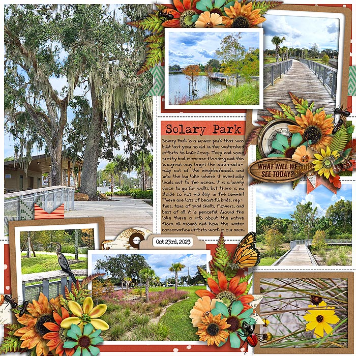 Solary Park