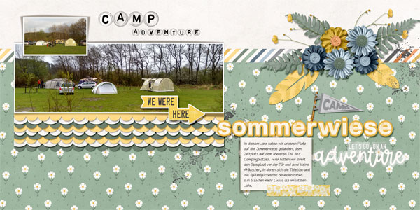 Sommerwiese