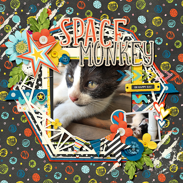 Space Monkey