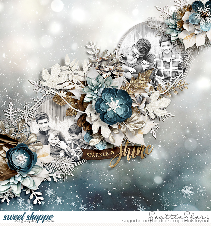 Sparkle & Shine