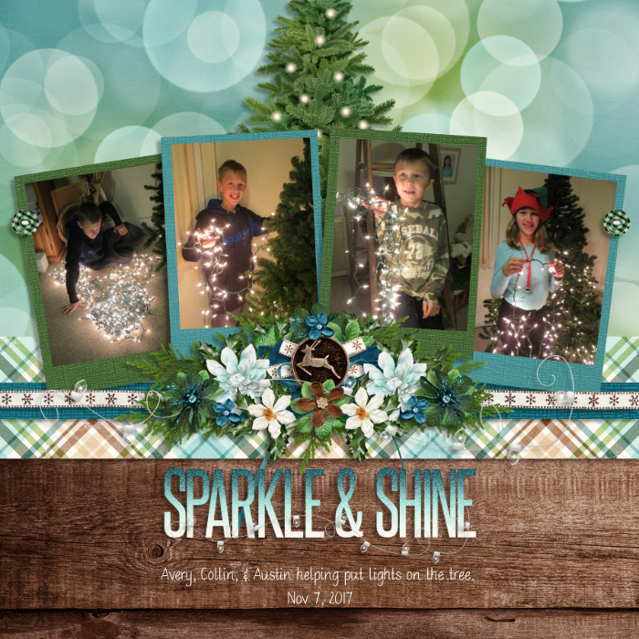Sparkle & Shine
