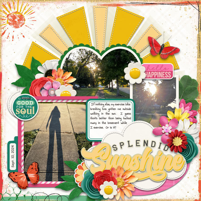 Splendid Sunshine