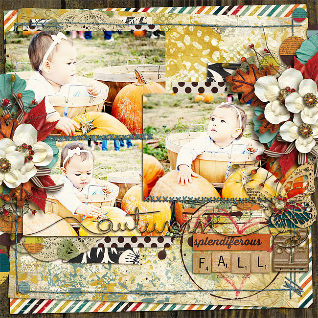 Splendiferous Fall